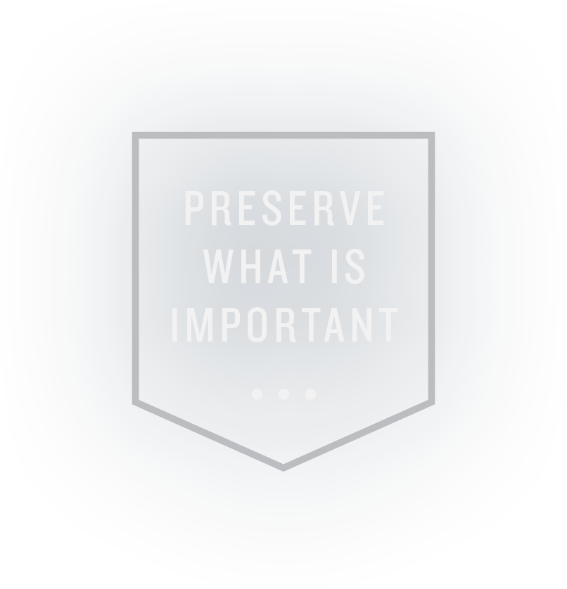 Preserve what is important