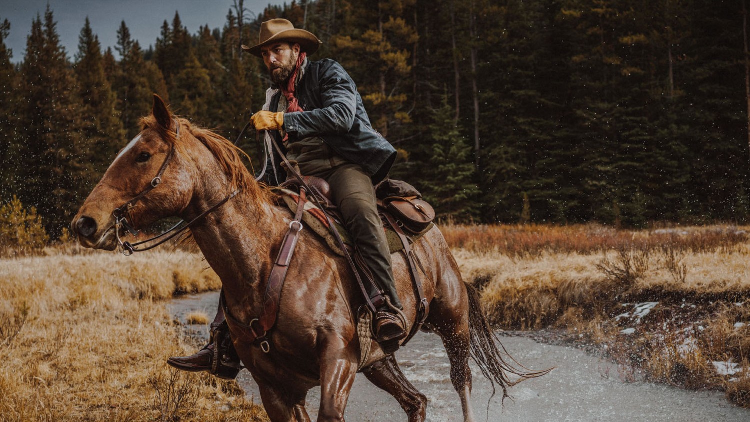 Training Horses for Heroes J.W. Couch Foundation